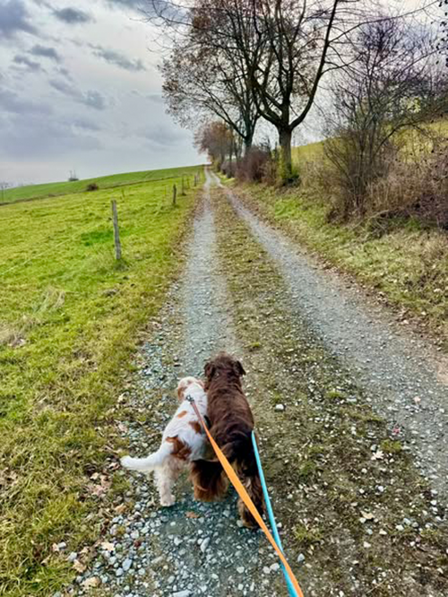 Auf dem Weg zum Venusberg (Erzgebirge)