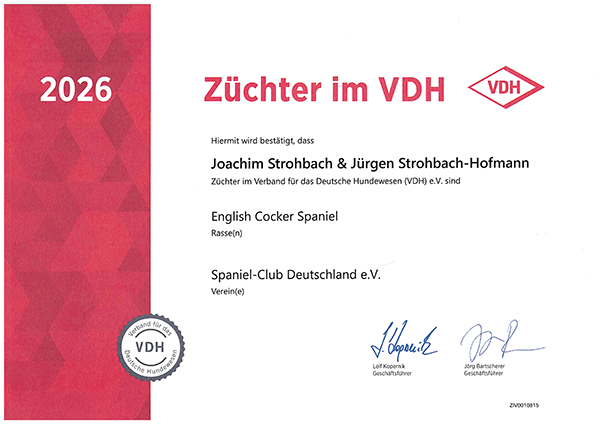 VDH Züchter 2026 English Cocker Spaniel vom Erfurter Kakteenhof
