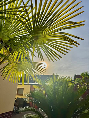 November-Wetter in Erfurt-Mittelhausen